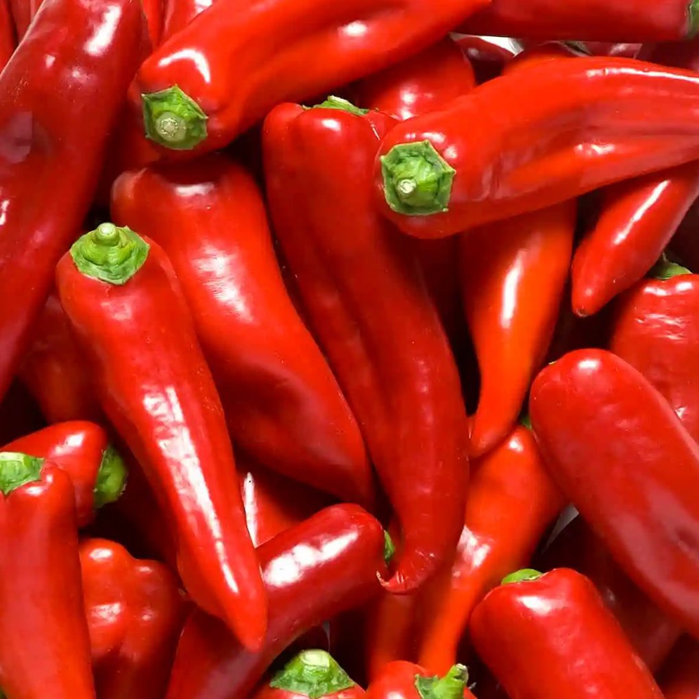 Paprika